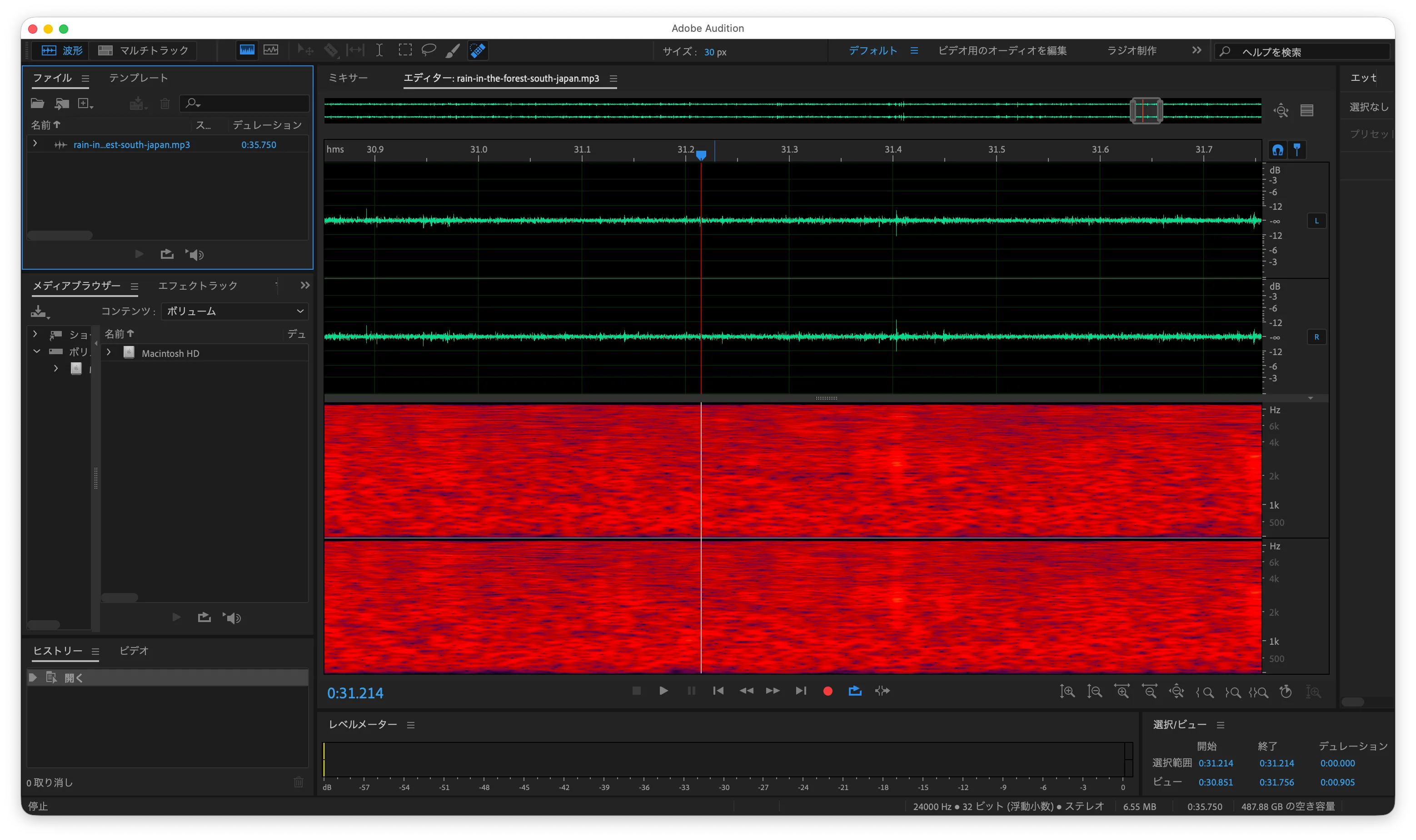 Audition's spectrogram view. Near the playhead just past 31 seconds, an insect call shows faintly as a thin horizontal line with no thickness
